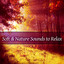 Soft & Nature Sounds to Relax  M