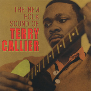 The New Folk Sound Of Terry Calli