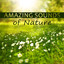 Amazing Sounds of Nature  Soft M