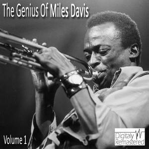 The Genius Of Miles Davis Vol 1 (