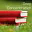 Deep Concentration - Focus Music 