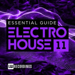 Essential Guide: Electro House, V