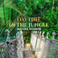 Daytime In the Jungle (Nature Sou