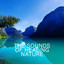 The Sounds of Healing Nature