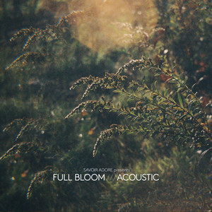 Full Bloom (Acoustic)