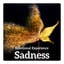 Emotional Experience  Sadness (R