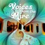 Voices From The Mire