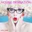 House  Sensation, Vol. 1