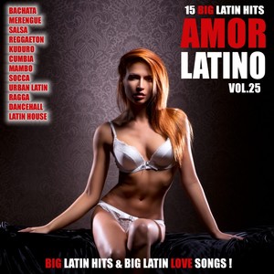 Amor Latino, Vol. 25 - 15 Big Lat