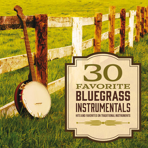 30 Favorite Bluegrass Instrumenta