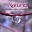 Nature Relaxation Music  Positiv