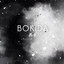 Bokida: Heartfelt Reunion (Soundt