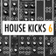 House Kicks 6