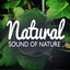 Natural Sound of Nature