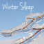 Winter Sleep - Nature Sounds Musi