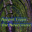 Ascent From the Nevermore