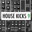 House Kicks 9