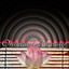 Oriental Massage  Spa Music Zen,
