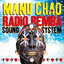 Radio Bemba Sound System (live)