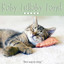 Baby Lullaby Land