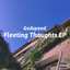 Fleeting Thoughts - EP