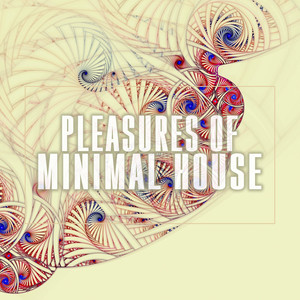 Pleasures of Minimal House