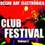 Club Festival Vol. 2
