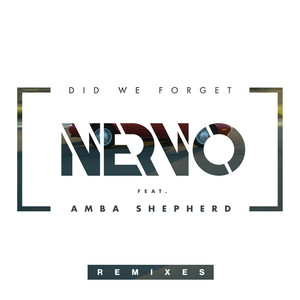 Did We Forget (Remixes)