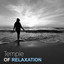 Temple of Relaxation  Perfect Mu