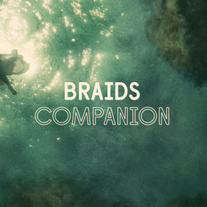 Companion (Single)