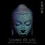 Sounds of Life, the Journey of Ip