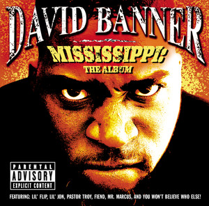 Mississippi-The Album