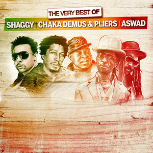 The Very Best Of Shaggy / Chaka D