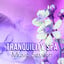 Tranquility Spa Music Session - T