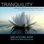 Tranquility - Relaxing Contempora