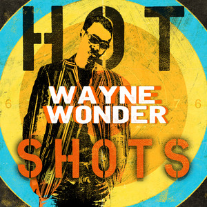 Wayne Wonder - Reggae Hot Shots