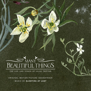 Many Beautiful Things (Original M