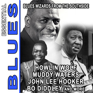 Blues Wizards From The Southside