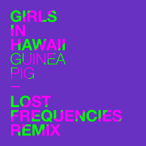 Guinea Pig (Lost Frequencies Remi