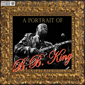 A Portrit Of B.b. King