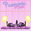 Panoramic Pink