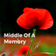 Middle of a Memory