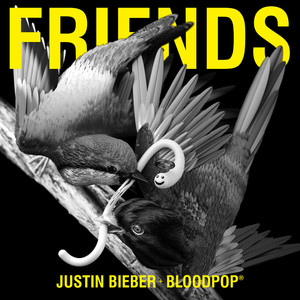 Friends (with BloodPop®)