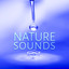 Nature Sounds - White Noise for M