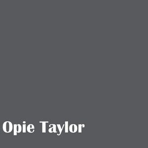 Opie Taylor