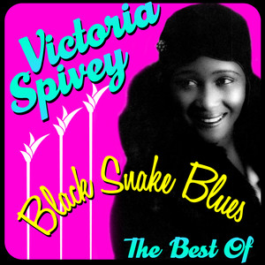 Black Snake Blues - The Best Of