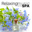 Relaxing Music at the Spa