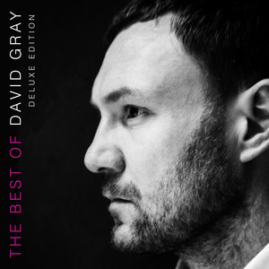 The Best of David Gray (Deluxe Ed