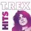 T. Rex- Hits