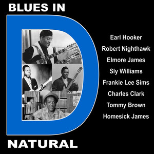 Blues In D Natural With Earl Hook